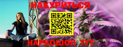 шишки Ставрополь