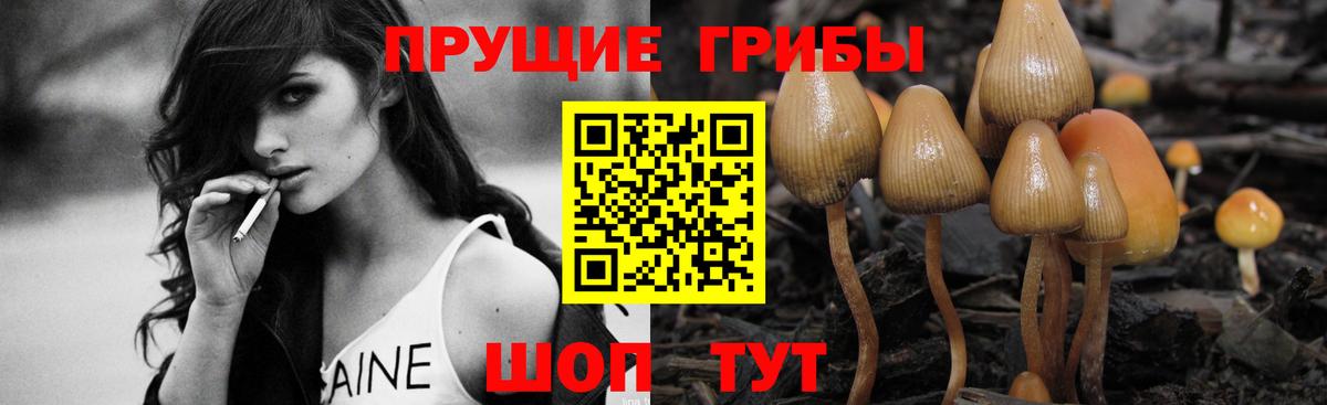 Псилоцибиновые грибы мицелий  Вход с VPN  Галлюциногенные грибы Psilocybine cubensis  Подольск 